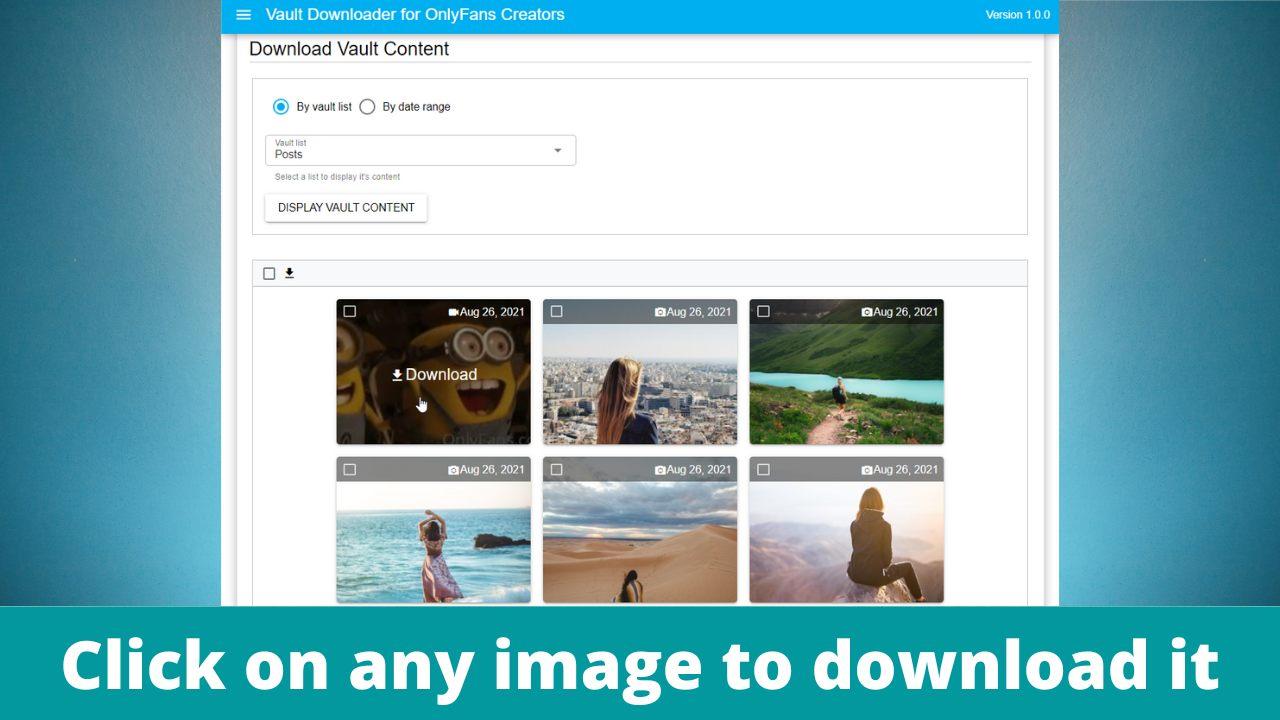 Vault Downloader for OnlyFans - Single file download