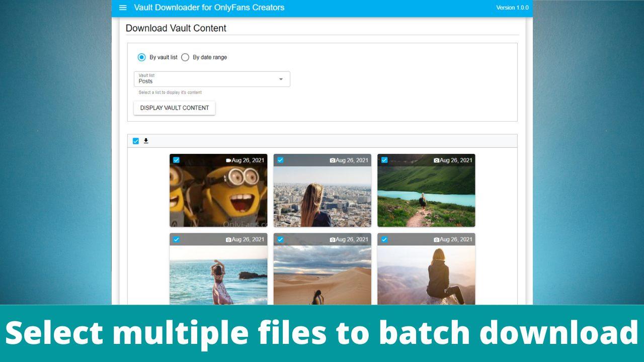 Vault Downloader for OnlyFans - Batch download